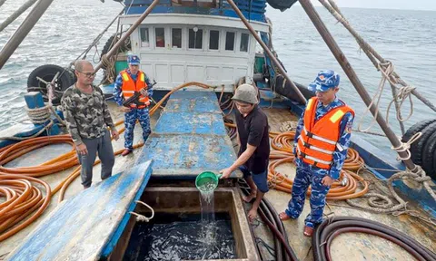 Bắt giữ tàu cá chở dầu trái phép trên biển