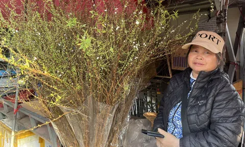 Hà Nội: Thị trường hoa Tết nhộn nhịp, nguồn cung dồi dào