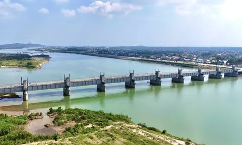 Đập dâng sông Trà Khúc gần 1.500 tỷ đồng hối hả thi công nước rút, nỗ lực thông xe trước Tết 2026