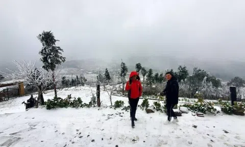 Miền Bắc sắp đón đợt gió mùa Đông Bắc cường độ mạnh, trời rét đậm