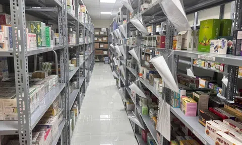 Triệt phá đường dây sản xuất, buôn bán thực phẩm chức năng giả quy mô đặc biệt lớn