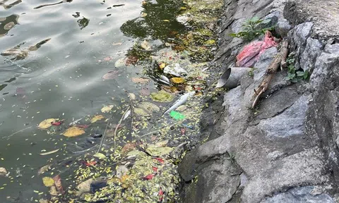 Hồ điều hòa Mai Dịch ngập rác, môi trường xuống cấp nghiêm trọng