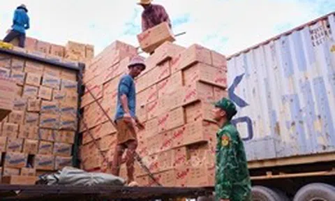 Thành lập đoàn kiểm tra đôn đốc chống buôn lậu dịp Tết Nguyên đán