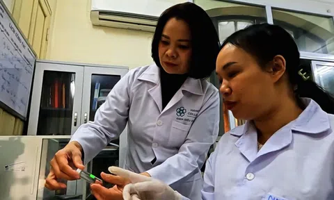 Gia tăng giá trị cho dược liệu Việt