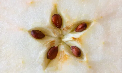 Loại quả chứa chất "kịch độc", quả số 1 mâm cơm nhà nào cũng có