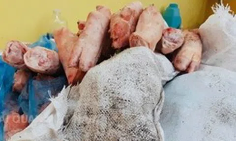 Hải quan phát hiện hơn 1,5 tấn thực phẩm đông lạnh bốc mùi