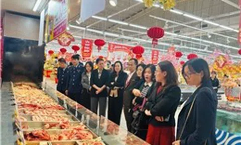 Kiểm tra công tác bình ổn thị trường Tết Nguyên đán 2026 tại nhiều địa phương