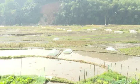 Nhịp sống hồi sinh nơi biên giới Tam Thanh sau mưa lũ