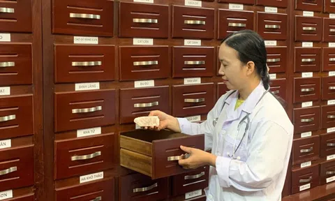Lần đầu tiên ban hành phác đồ kết hợp y học cổ truyền và hiện đại cho 16 bệnh phổ biến