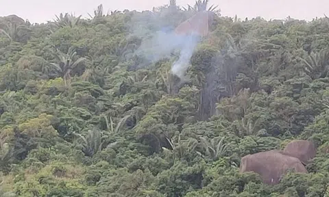 Bộ Quốc phòng thông tin về sự cố máy bay quân sự rơi tại Đắk Lắk