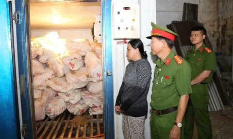 Bắt người phụ nữ mua 12 tấn lợn chết vì dịch rồi bán ra thị trường