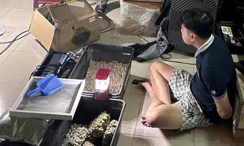 Phát hiện đường dây tiêu thụ cần sa trồng trong nhà, có yếu tố người nước ngoài