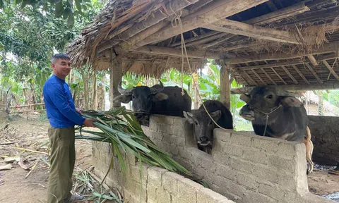 Khi chính sách đến vùng khó – Kỳ 2: Có mái nhà, nhưng con đường thoát nghèo vẫn gian nan