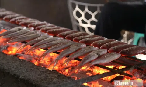 Làng nướng cá nơi cửa biển tất bật ngày cận Tết