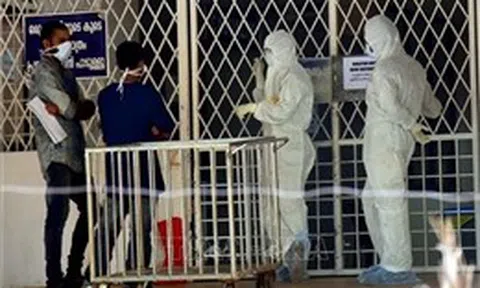 Đánh giá mới nhất của WHO về rủi ro lây lan virus Nipah từ Ấn Độ