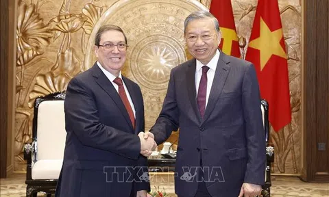 Tổng Bí thư Tô Lâm tiếp Đặc phái viên Đảng, Nhà nước Cuba, Bộ trưởng Ngoại giao Cuba