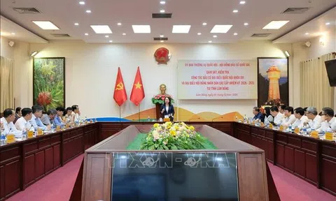 Phó Chủ tịch nước yêu cầu đảm bảo quy trình bầu cử diễn ra chặt chẽ, nghiêm túc