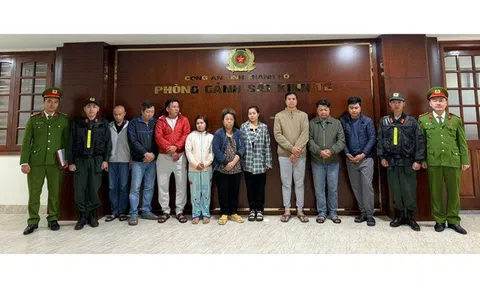 Triệt phá hai đường dây thuốc, thực phẩm chức năng giả thu lợi hơn 50 tỷ đồng