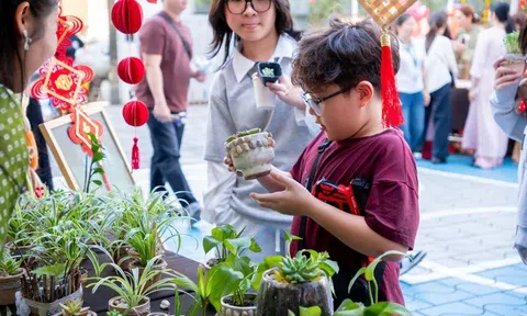 Hội hoa Xuân Sky-Line: Mùa xuân được gieo từ những mầm xanh