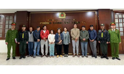 Triệt phá đường dây sản xuất thuốc và thực phẩm chức năng giả quy mô lớn