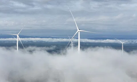 T&T Group cam kết hành động thực chất về chuyển đổi số, chuyển đổi xanh