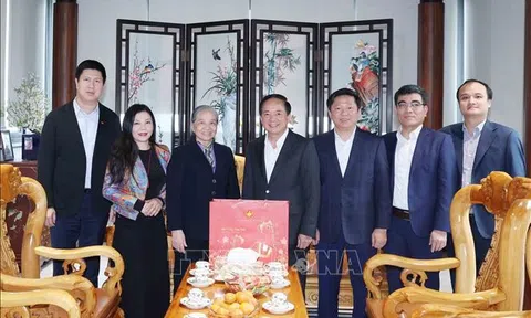 Trưởng Ban Tuyên giáo và Dân vận Trung ương thăm, chúc Tết gia đình các nhân sĩ tiêu biểu