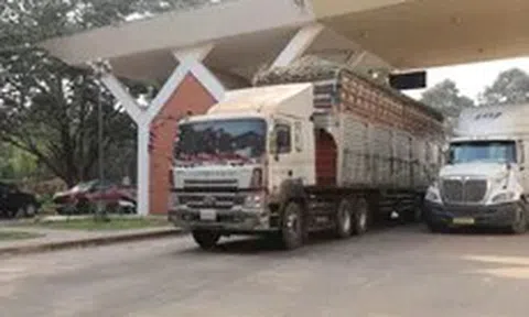 Các bộ họp tháo gỡ vướng mắc về thông quan thực phẩm