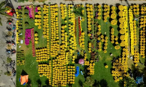 Nhộn nhịp chợ hoa Xuân ở Cố đô Huế