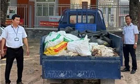 TP Hồ Chí Minh phát hiện, xử lý vụ vận chuyển gà chết đi tiêu thụ