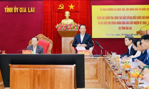 Trưởng Ban Tuyên giáo và Dân vận Trung ương làm việc với tỉnh Gia Lai về công tác bầu cử