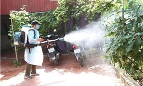 Phát hiện sớm và xử lý kịp thời, triệt để ổ dịch sốt xuất huyết, không để lây lan