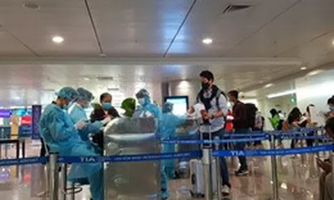 Khả năng bùng phát dịch virus Nipah tại TP Hồ Chí Minh không cao