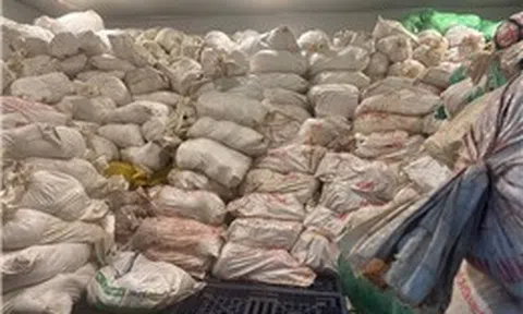 Thu giữ hơn 60 tấn lòng lợn không rõ nguồn gốc, xuất xứ