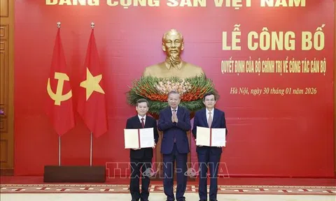 Phân công, bổ nhiệm, chỉ định Trưởng Ban Nội chính Trung ương và Giám đốc Học viện Chính trị quốc gia Hồ Chí Minh