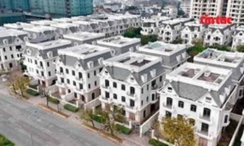 TP Hồ Chí Minh: Nhà phố, biệt thự tiền tỷ để hoang tàn nhiều năm ở Cát Lái