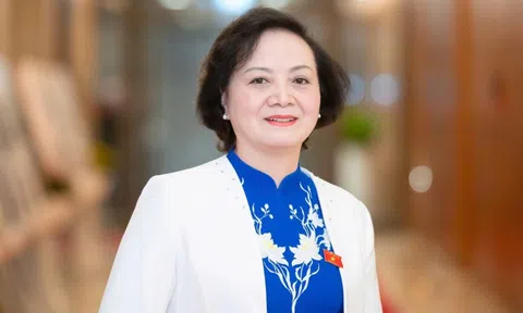 Nhân sự khối Chính phủ, Quốc hội ứng cử ĐBQH khóa XVI