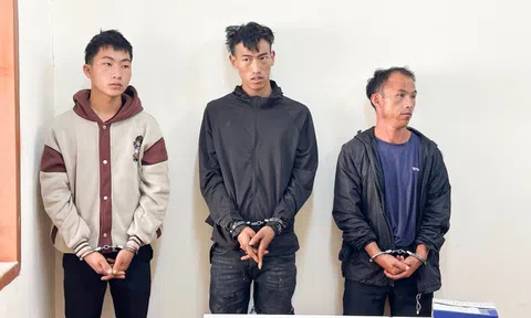 Triệt phá đường dây vận chuyển 34kg ma túy, bắt 3 đối tượng