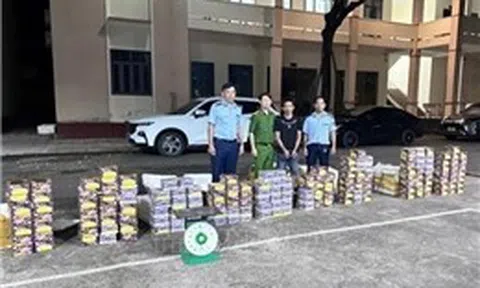 Đồng Nai: Bắt giữ đối tượng tàng trữ, vận chuyển hơn 300 kg pháo nổ