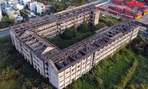 Ngôi trường ‘ngủ quên’ 8 năm ở TP Hồ Chí Minh