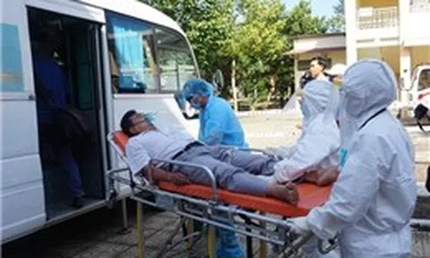 Virus Nipah không dễ lây như COVID-19 nhưng vẫn cần chủ động phòng ngừa