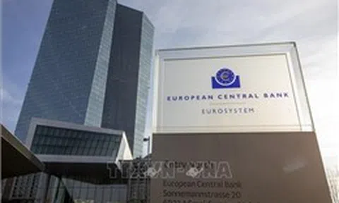 Động thái mới nhất của ECB nhằm củng cố vai trò quốc tế của đồng euro
