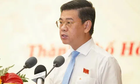 Phê chuẩn miễn nhiệm Phó Chủ tịch UBND Thành phố Hồ Chí Minh