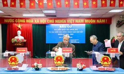 Tỉ lệ cử tri cả nước đi bầu cử đạt trên 99%