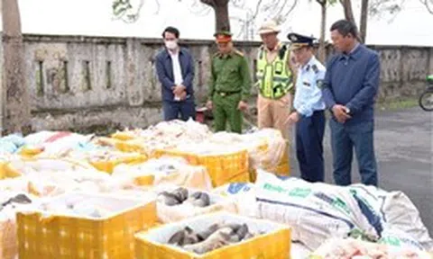 Phát hiện, tiêu hủy hơn 2,6 tấn nội tạng động vật không rõ nguồn gốc