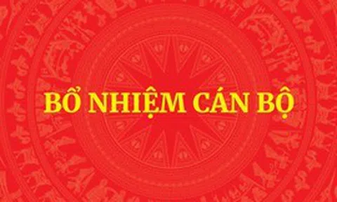 Thủ tướng bổ nhiệm nhân sự 3 cơ quan