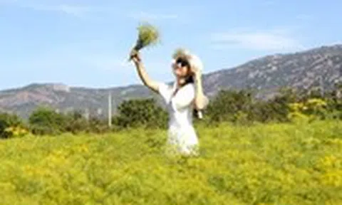 Vườn hoa thì là 'gây sốt', hút hàng trăm bạn trẻ đến check-in