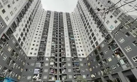 Khởi tố vụ lừa đảo hơn 40 tỷ đồng liên quan các dự án nhà ở xã hội ở Hà Nội