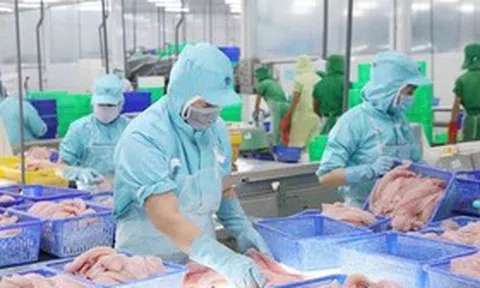 Triển vọng tích cực cho xuất khẩu cá tra của Việt Nam sang Canada