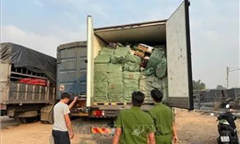 Tạm giữ hơn 28,8 tấn thực phẩm đông lạnh không rõ nguồn gốc