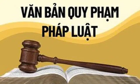 Chính phủ thống nhất nội dung Đề án về tổng rà soát hệ thống văn bản quy phạm pháp luật